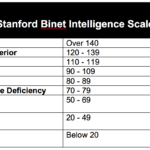 stanford binet intelligence scale